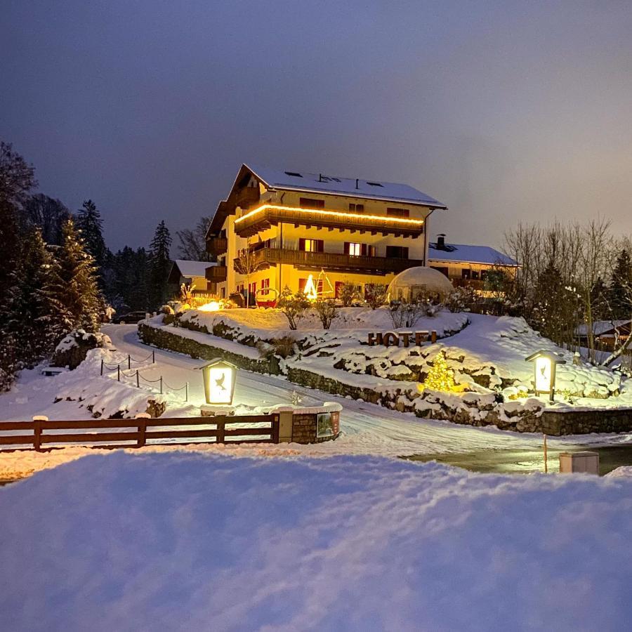Bayern - Adults Only - Mit Zugspitzblick - Eibsee-naehe - Wellnessbereich - Naturpool Im Sommer Hotel 4*