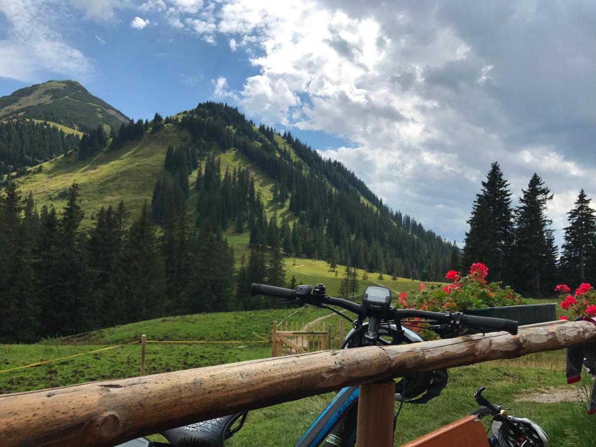 Bayern - Adults Only - Mit Zugspitzblick - Eibsee-naehe - Wellnessbereich - Naturpool Im Sommer 4*